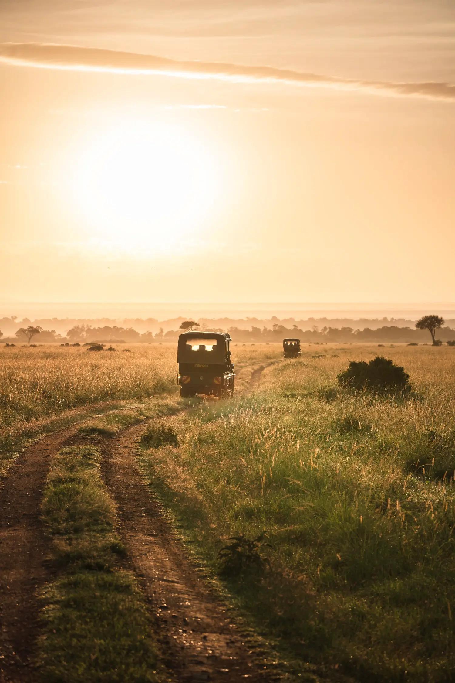 African safari landscape